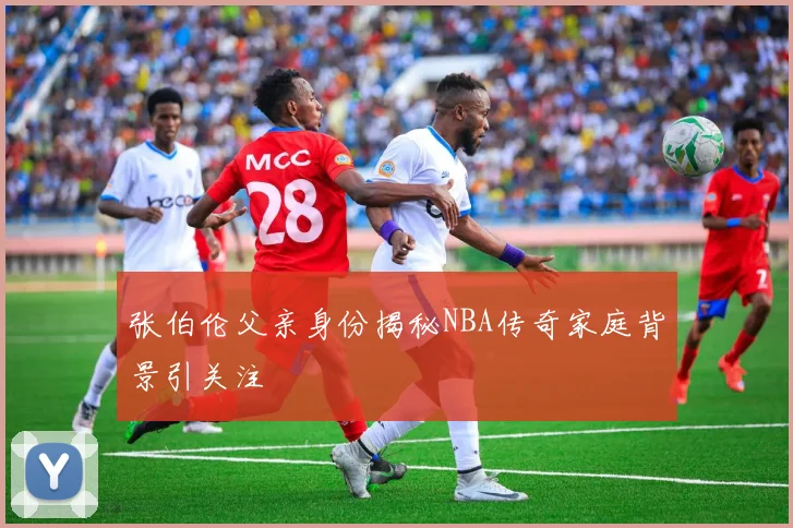 张伯伦父亲身份揭秘NBA传奇家庭背景引关注