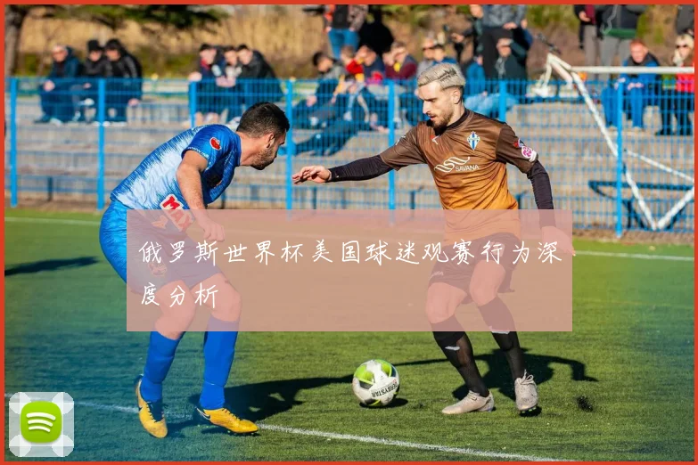 俄罗斯世界杯美国球迷观赛行为深度分析