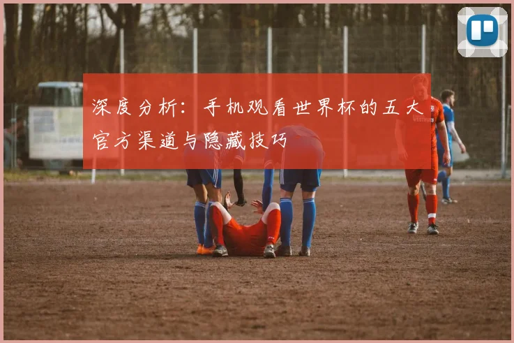 深度分析：手机观看世界杯的五大官方渠道与隐藏技巧