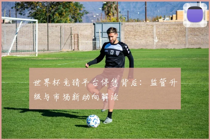 世界杯竞猜平台停售背后：监管升级与市场新动向解读