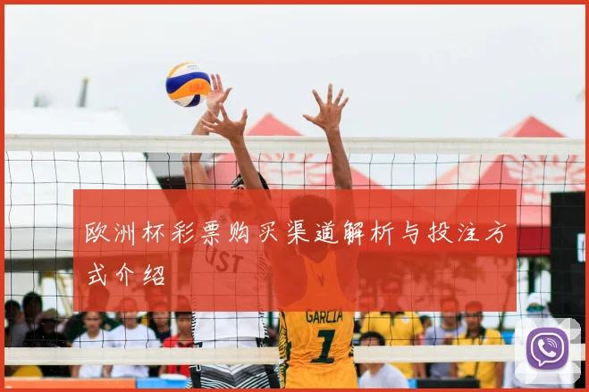 欧洲杯彩票购买渠道解析与投注方式介绍