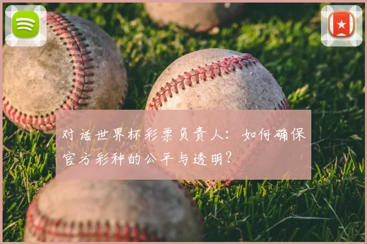 对话世界杯彩票负责人:如何确保官方彩种的公平与透明?