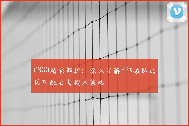 CSGO精彩解析：深入了解FPX战队的团队配合与战术策略
