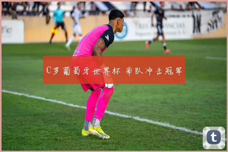 C罗葡萄牙世界杯 率队冲击冠军